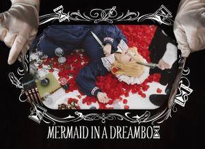 Mermaid in a Dreambox封面.jpg