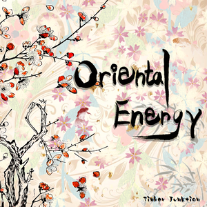 Oriental Energy封面.png