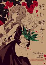 Immagine di Copertina