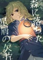 森に落ちた星屑の欠片