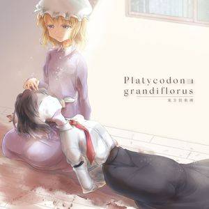 Platycodon grandiflorus封面.jpg