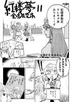 紅楼夢11 会場限定本