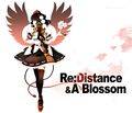 Re：Distance & A Blossom 封面图片