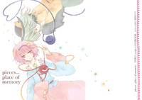 pieces...place of memory