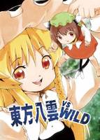 東方八雲vsWILD