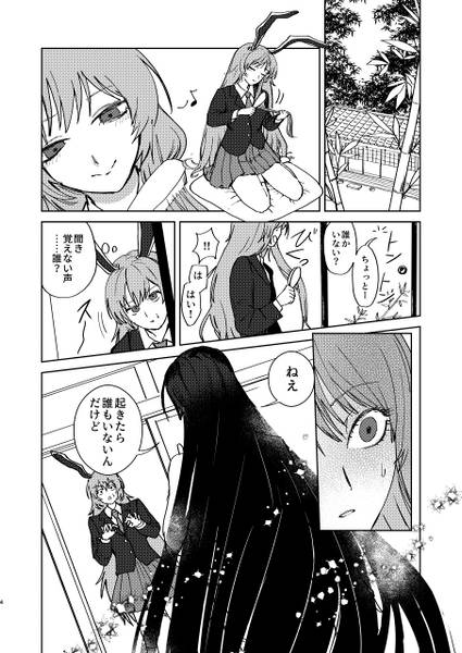 文件:蓬莱と兎は相容れない预览图2.jpg
