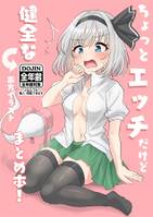 ちょっとエッチだけど健全な東方イラストまとめ本!