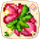并蒂莲