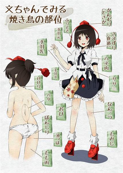 文件:彩風画報预览图2.jpg