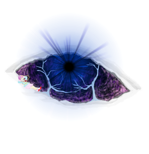 LASCAUX V another entrance封面.png