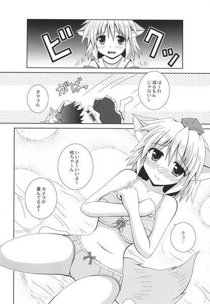 文件:みミみミフォトグラファー预览图2.jpg