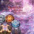 HANGistic Meditation for Touhou Seirensen: Buddha's Beats Cover Image