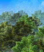 圣域森林上空（锦上京一面场景）