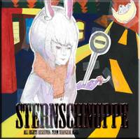 Sternschnuppe~유성