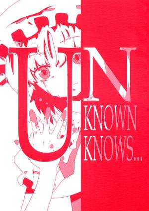 Unknown knows...封面.jpg