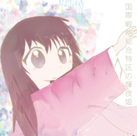 国際戦略総合特区の輝夜姫