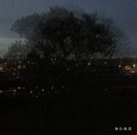 滲む風景