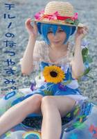 チルノのなつやすみ。