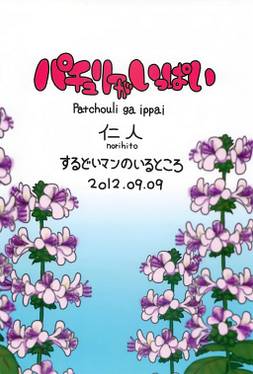 パチュリ一がいっぱい预览图1.jpg