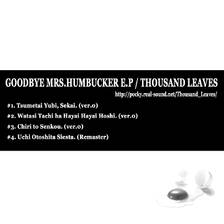 Immagine di Copertina