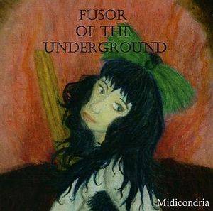 FUSOR OF THE UNDERGROUND封面.jpg