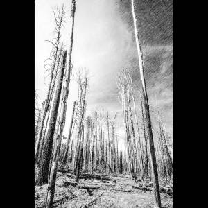 never knows best封面.jpg