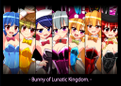 Bunny of Lunatic Kingdom. Cover Image