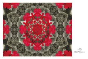 FLOWER e.p.封面.jpg