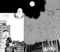 永远亭（儚月抄漫画1话16）