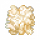 银耳