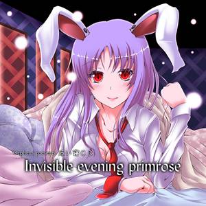 Invisible evening primrose封面.jpg