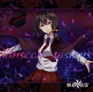 Unseen Visions封面.jpg