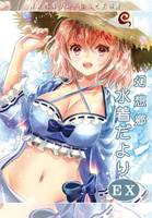 幻想郷水着だよりEX