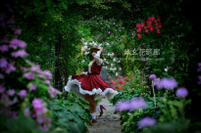 幽玄花廻廊